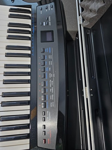 Roland synth key keytar - ax-synth, 49-key