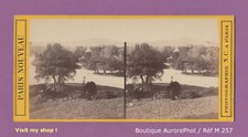 PHOTO VUE STÉRÉO : PARIS, VUE PANORAMIQUE DU BOIS DE BOULOGNE VERS 1880 -M257