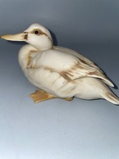 Kaiser W. Germany Duckling