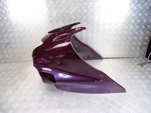 Kawasaki 1100 zzr - 1100,