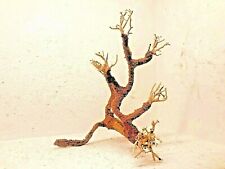 racine mangrove araignée spider root 30x18 bonsai bois aquarium aquascaping  11 
