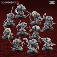 Ninja Rats homme rats