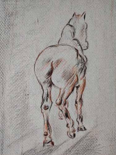 Dessin cheval trait - de,