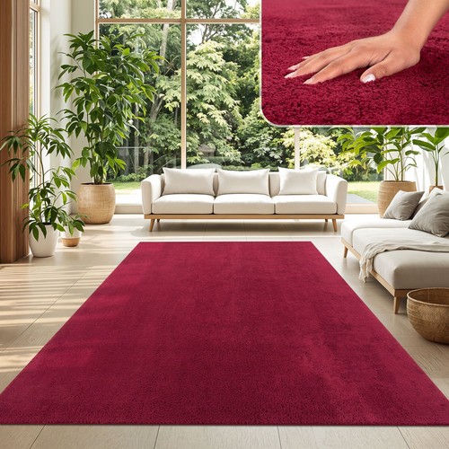 Tapis poil ras salon - tapis,