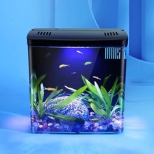Mini Aquarium Écologique Auto-Circulant avec Filtre Réservoir à Poissons