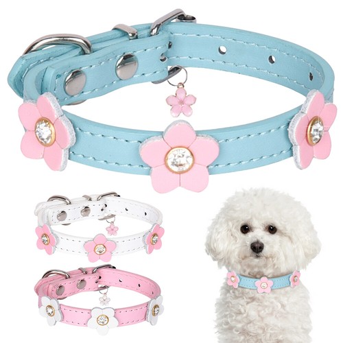 Collier pour chiot - collier,