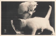 CP PETIT CAT WEIGHTS WHITE CAT - 51767