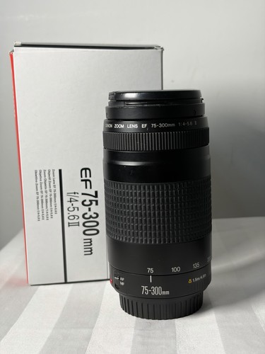Canon 300mm 5 - ef, ii