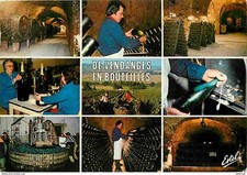 Vines - Champagne - Moet et Chandon Epernay wineries - Harvest in bottles