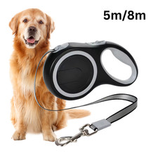 Laisse pour chien rétractable