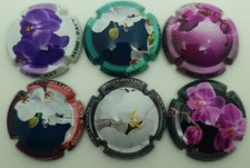Ponsart Pike Orchid Series of 6 Champagne Capsules. TJ
