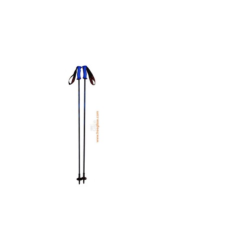 Bâtons ski alpin occasion - bâtons,