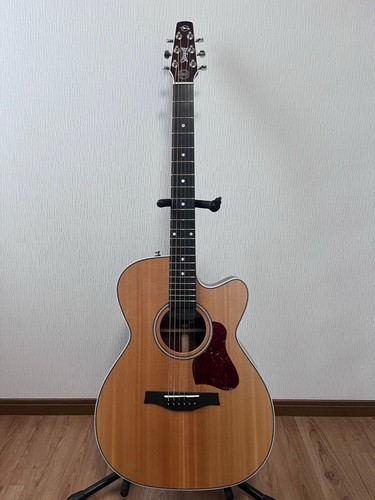 Guitare acoustique final price - guitare,