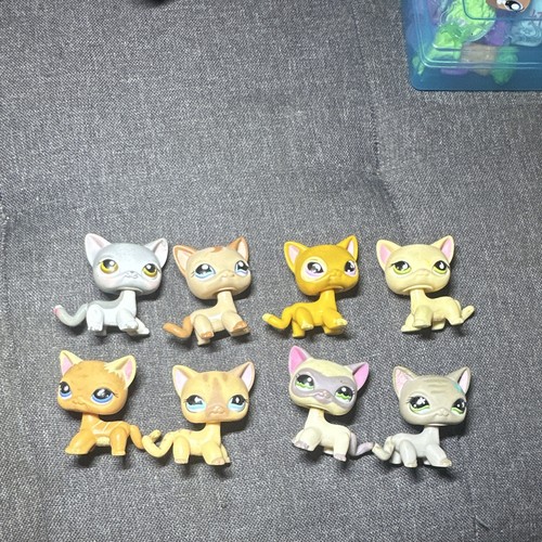 Hasbro littlest pet - hasbro,