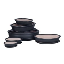 Bonsai Bol Arbre Mini Jardin