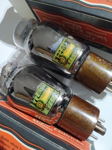 5r4gy brimar nib - 5r4gy,