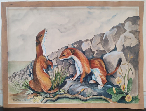 Aquarelle originale signée - , et