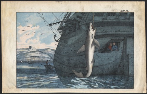 1870 gravure originale - 1870,