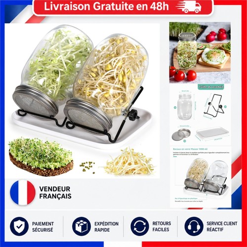 Cinnani kit germination - kit,