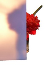 Plaque En Polycarbonate