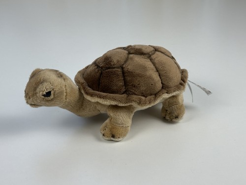 Tortue collection hermann 9 - de,
