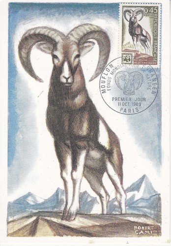 Carte 1er jour nature - carte,