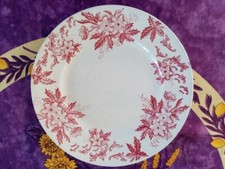 Assiette Plate Terre Fer Saint