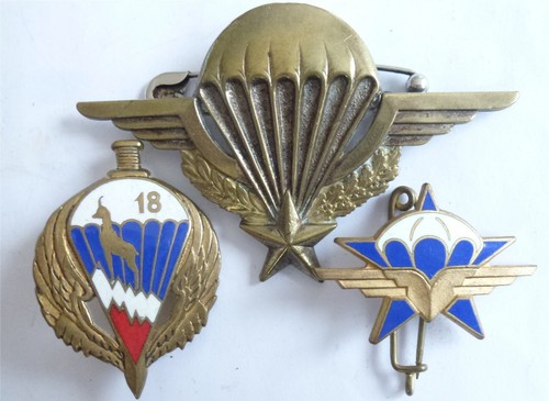 Lot brevet parachutiste métal - lot,