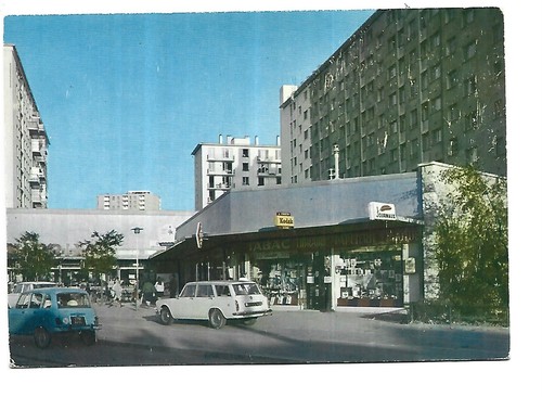 Hay les roses - 94,