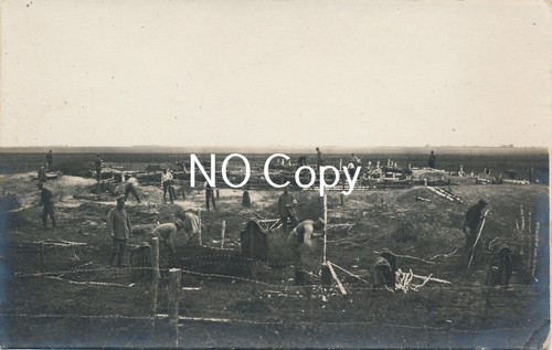 Wk1 carte postale - postale, champ