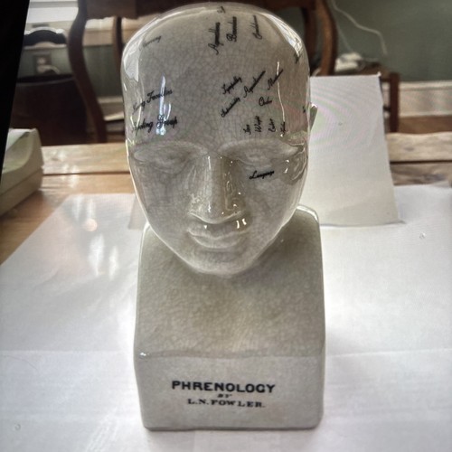 Phrenology head porcelain l - phrenology,
