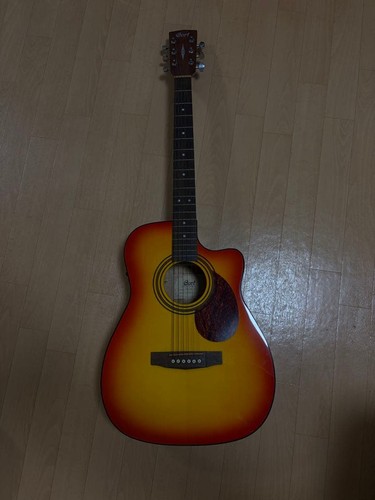 Guitare acoustique cort - guitare,