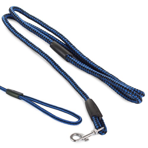 Laisse bleue noire - laisse,