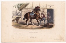 Maréchal Ferrant Cheval de