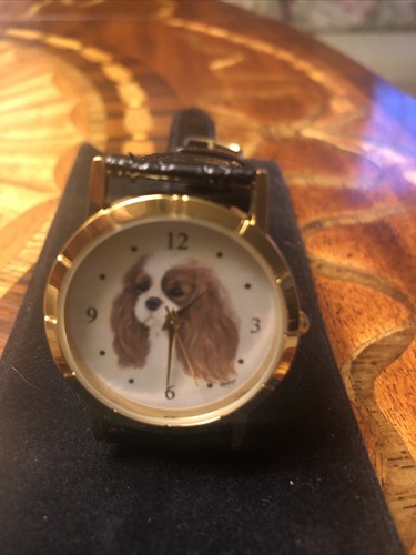 Nwot cavalier king charles - cavalier,