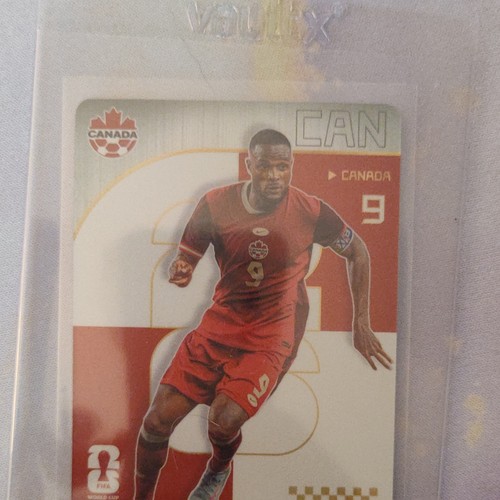 Panini kayou fifa - panini,