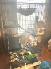 Large rodent cage and accessories for a chinchilla!