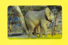 Carte Cora / Match - N°31/44