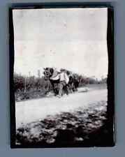 France, Brittany, Breton and his draft horse Vintage silver print.  Print