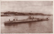 🦬Carte Postale / Postcard /