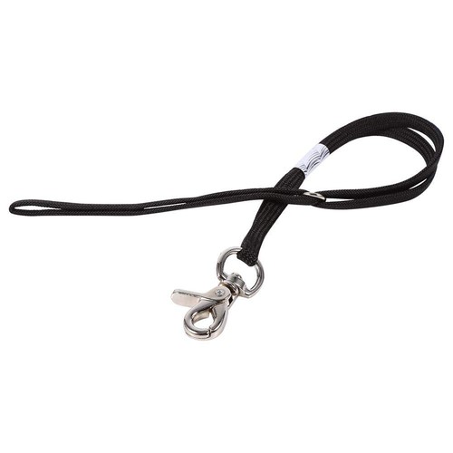 2types chien toilettage boucle - chien,
