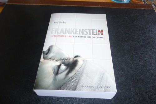 Livre broche frankenstein - livre,