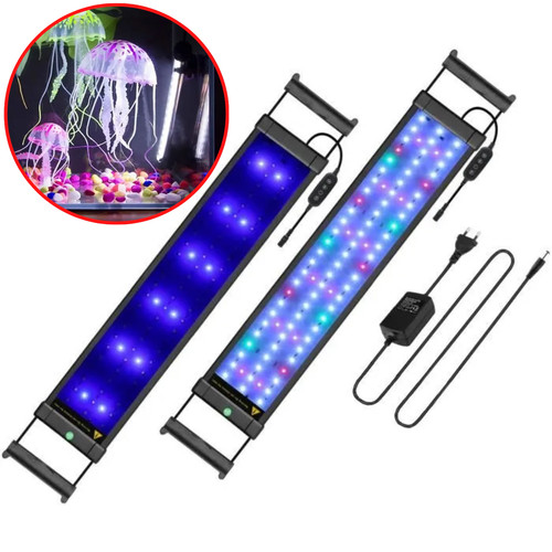 éclairage aquarium led - aquarium,