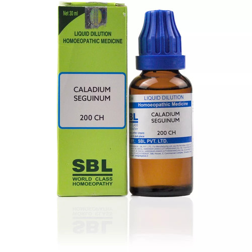 Sbl caladium seguinum - sbl,