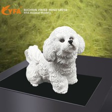 JJM Mini Bichon Frise Dog