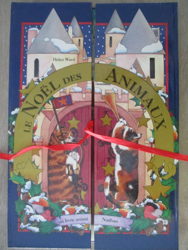 Livre anime noël - anime,