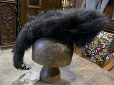 belle et véritable  chenille