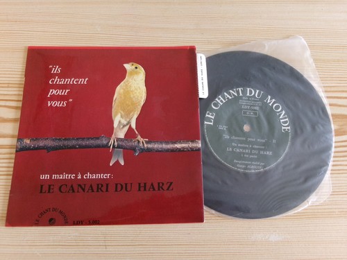 Canari harz un - harz,