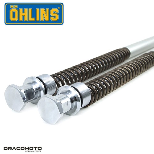 Kit cartouche harley flhrc - cartouche,