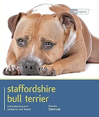 Staffordshire bull terrier - terrier,